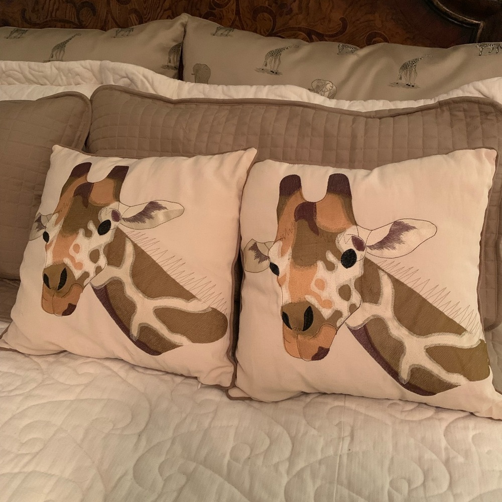 Two Adorable Custom throw pillows